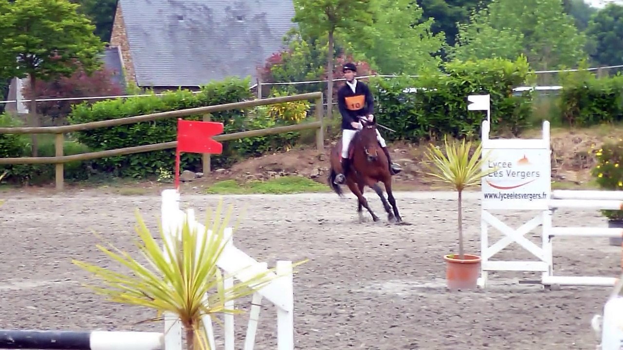 Delight Me- CL 2 - CSO