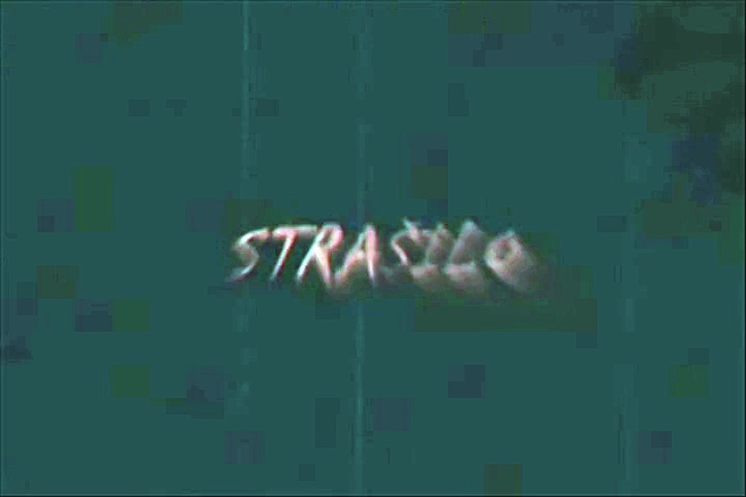 Ivan Ristic - Strasilo (The Scarecrow)