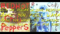 Red Hot Chili Peppers - Don't Forget Me with lyrics