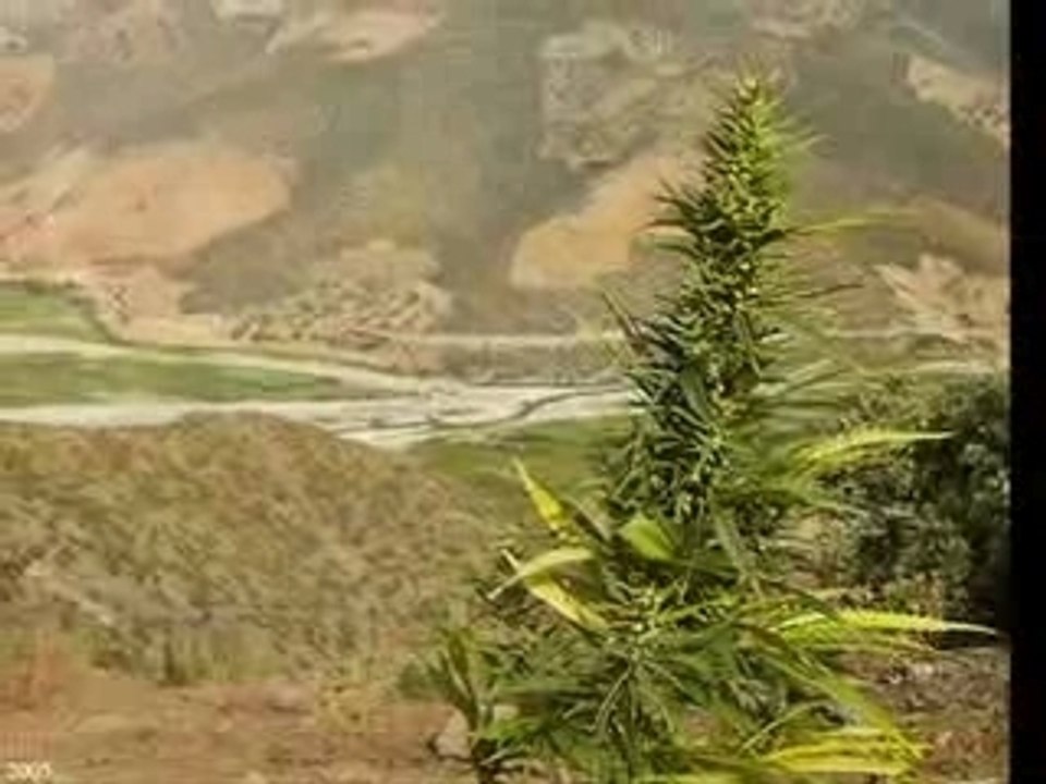 Ketama CITY   & Targuist