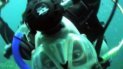 See what happens when you crack an egg underwater