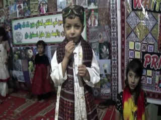 jawad abbasi, culture day dec 2014,  white roses model school darro
