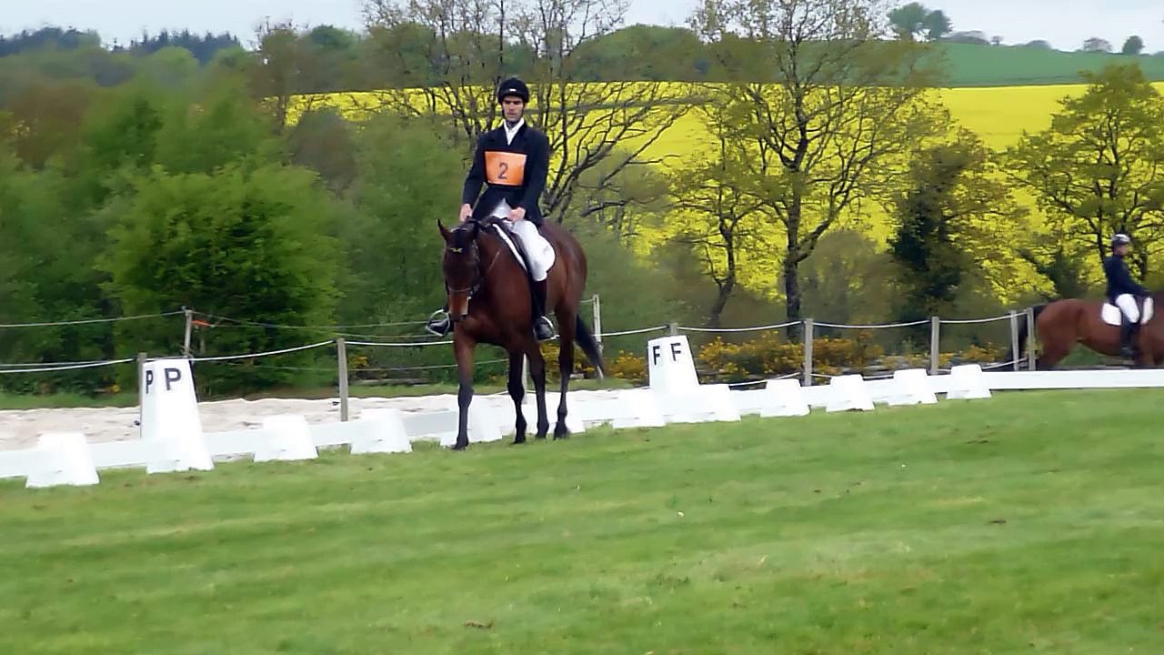 Delight Me- CL 2 - Dressage