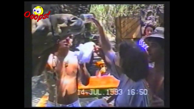 Funny Animals Best of Camels