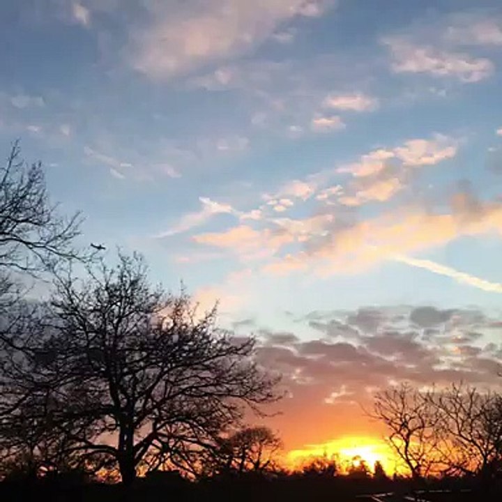 Bird or a plane