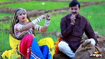 Rajasthani VIDEO Song | 