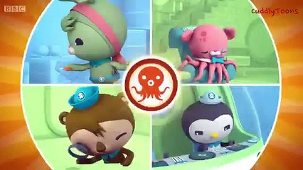 The Octonauts and the Harbour Seal (Series 3 Episode 13)