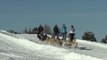 Succès des balades en chiens de traîneau à La Plagne