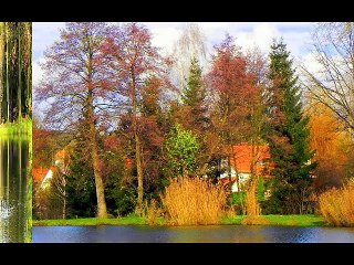 Abaligeti tó ( hang nélkül )