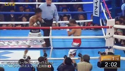 Naoya Inoue vs Omar Andres Narvaez 30 12 2014