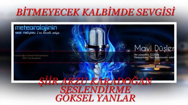 ARZU KARADOĞAN''BİTMEYECEK KALBİMDE SEVGİSİ GÖKSEL YANLAR YORUMU