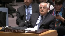 U.N. Security Council Rejects Palestinian Statehood Bid