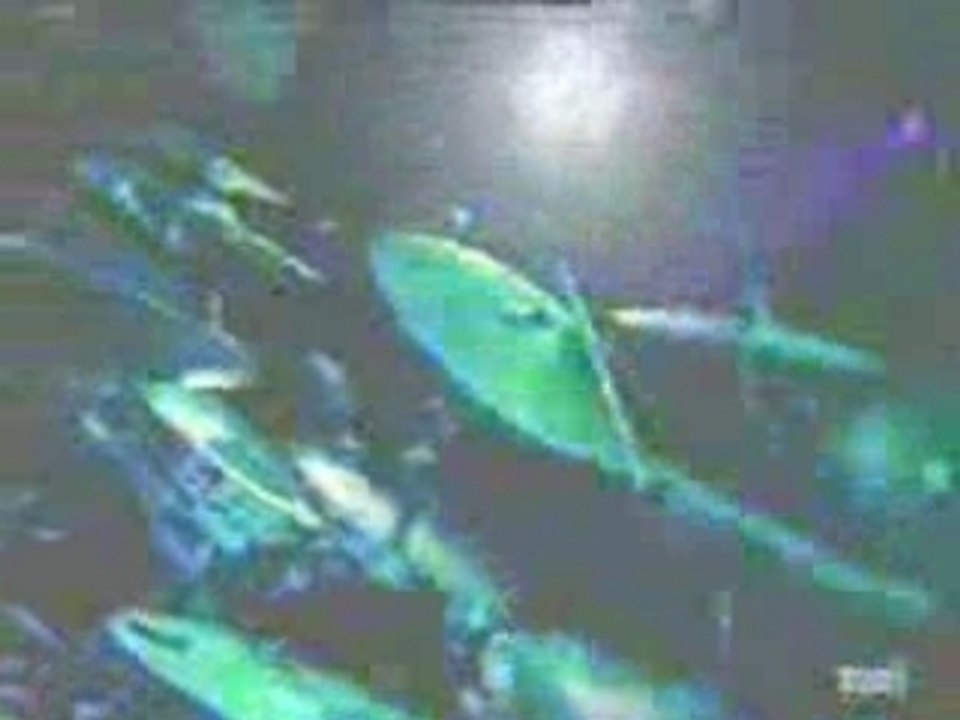 Sabina &  Sanz - Princesa