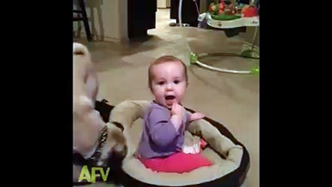 Quand bébé vole le panier du chien c'est la guerre !