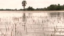 Sri Lanka's crops wiped-out by heavy rains