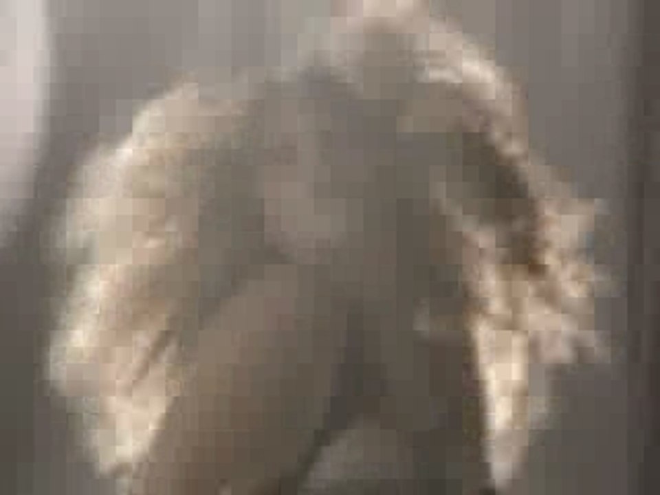 BEAUTIFUL LIAR Beyonce Shakira