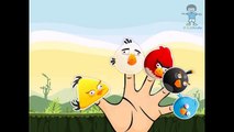 Angry Birds Cartoon Finger Family For Children | Popular Nursery Rhymes Collection for Kids