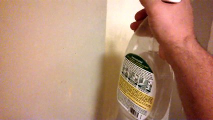 Primo Painting : Tulsa Oklahoma Painting Company : Wall Paper Removal