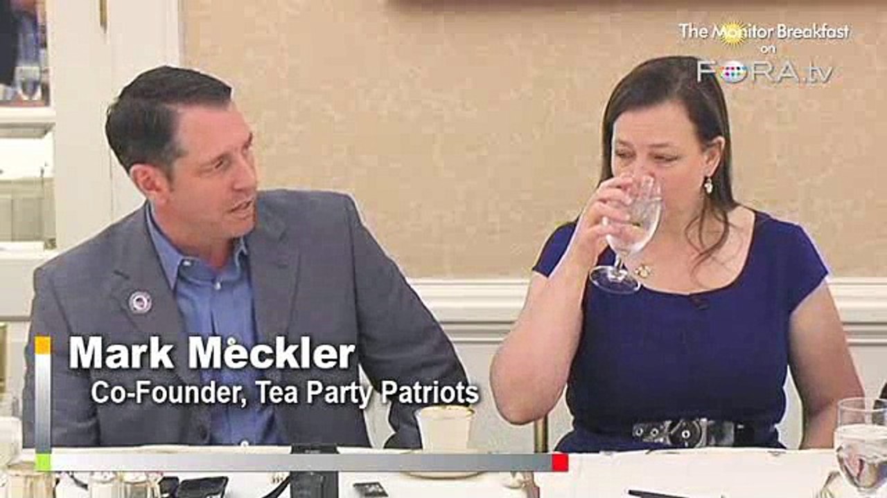 Tea Party: Expect More Primary Challenges in 2012