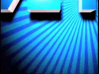 Gingrich Outlines Vision for Immigration Reform