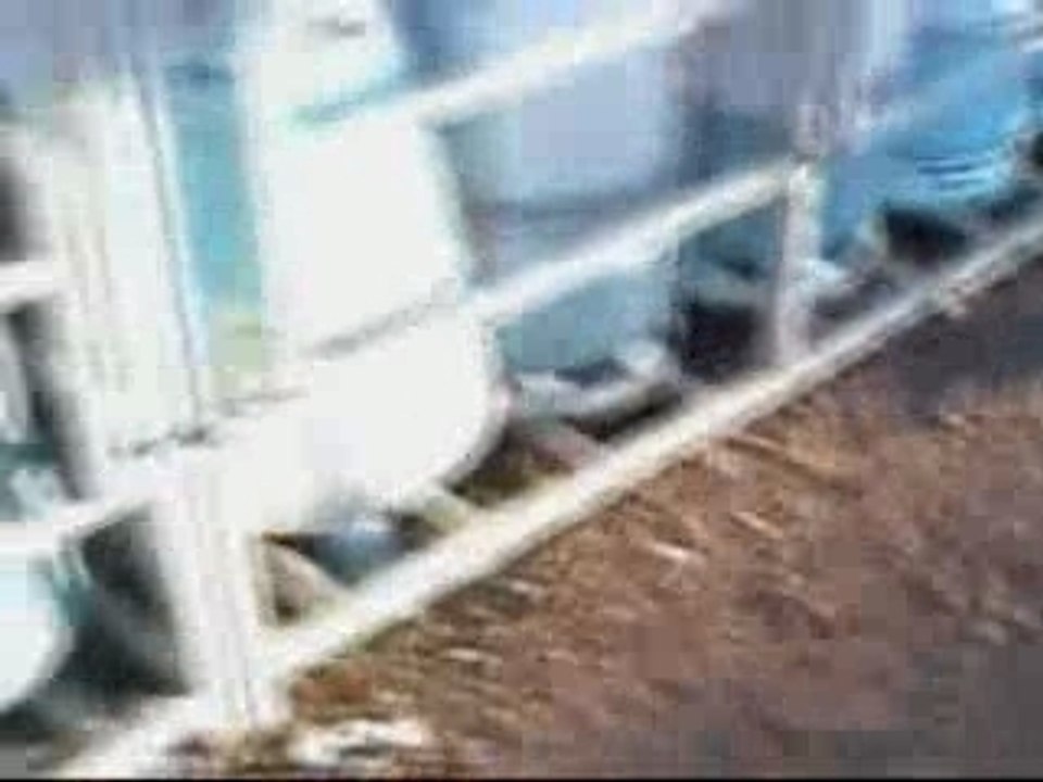 belle voiture propre