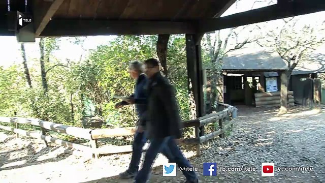 170 bébé tortues sauvées des griffes des trafiquants