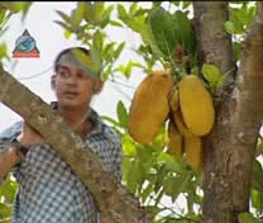 BANGLA HOT SONG... DOLY FOL PAKILE