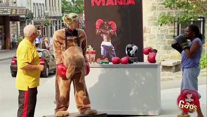 Angry Fighting Kangaroo, Part 2