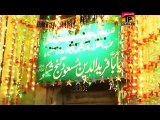 Naeem Haider Qawwal | Mein Baba Jee Nawein Lagiaan | New Qawwaliyan 2015