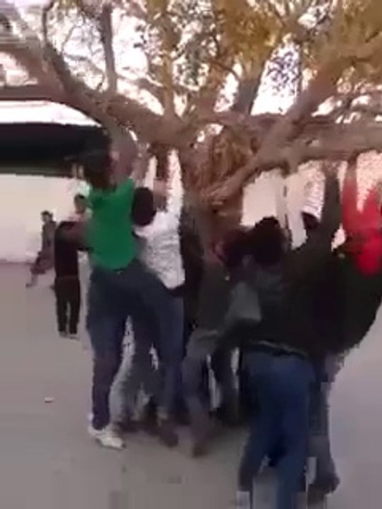 Se faire catapulter par un arbre... Un gars bien accroché!