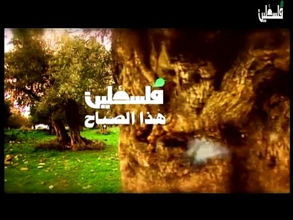 فلسطين هذا الصباح 32-12-2014 ج1