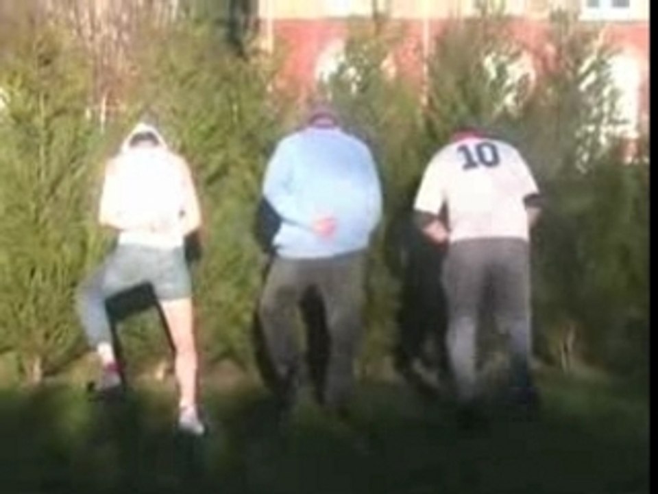 tout ch'ti la qui pisse