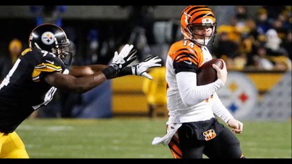 NFL Playoffs 2015 the 12 teams who seek the Superbowl XLIX