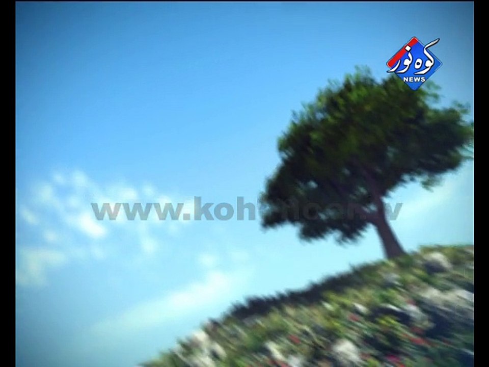 WINDY HILL ID Kohenoor
