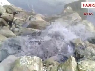 Sakarya Nehri'ne Atık Döküldüğü İddiası