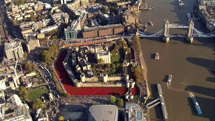 Poppy installation designer awarded MBE