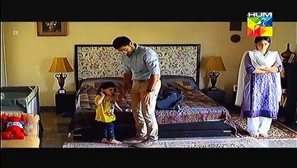 Mohabbat Subah ka Sitara Last Episode HUM TV