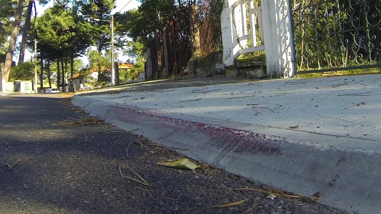 Skate decembre 2014