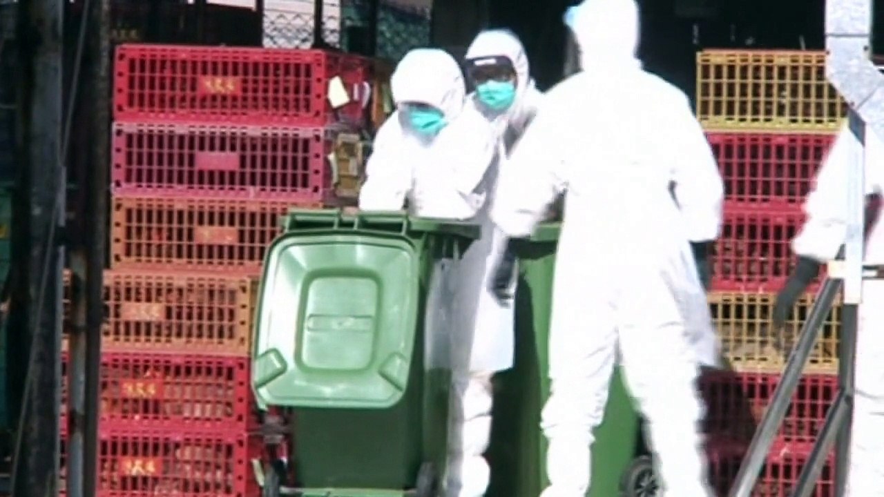 15,000 chickens culled as bird flu case confirmed in China