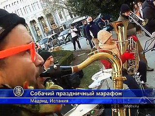 В Мадриде состоялся праздничный забег с собаками