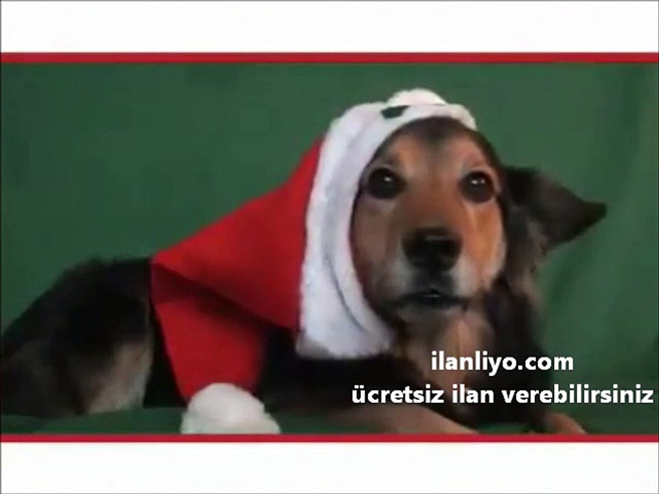 Yılın Tenoru :) (Yeni yıl şarkısı)