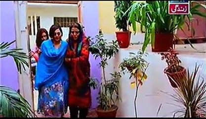 Behnein Aisi Bhi Hoti Hain Episode 148 Full on Ary Zindagi