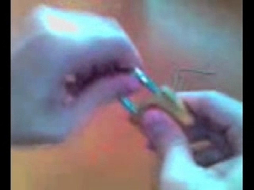 Paperclip Lock Picking