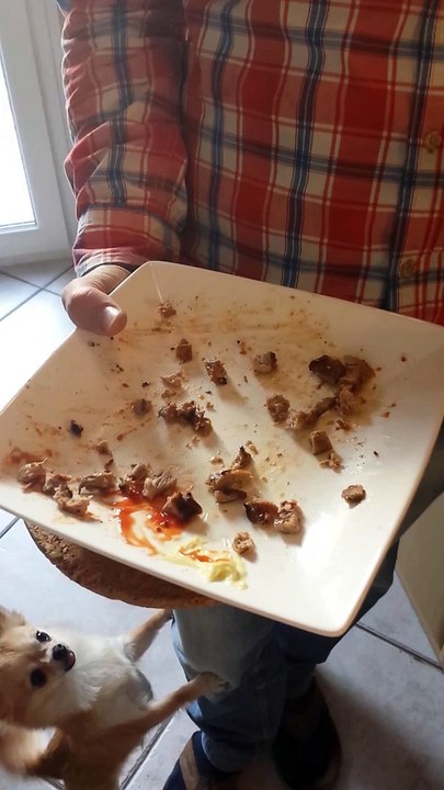 L'assiette du Dimanche !