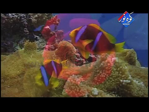 Aye Khuda I Urdu Hamd I Best Hamd I Adnan Sami I Hamd 2009