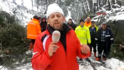 Kırkağaç Tren İstasyonunda Ağaçlar Devrildi Ulaşım Durdu