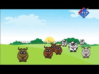 Eid ID ( Bakra ) 06-11-2011