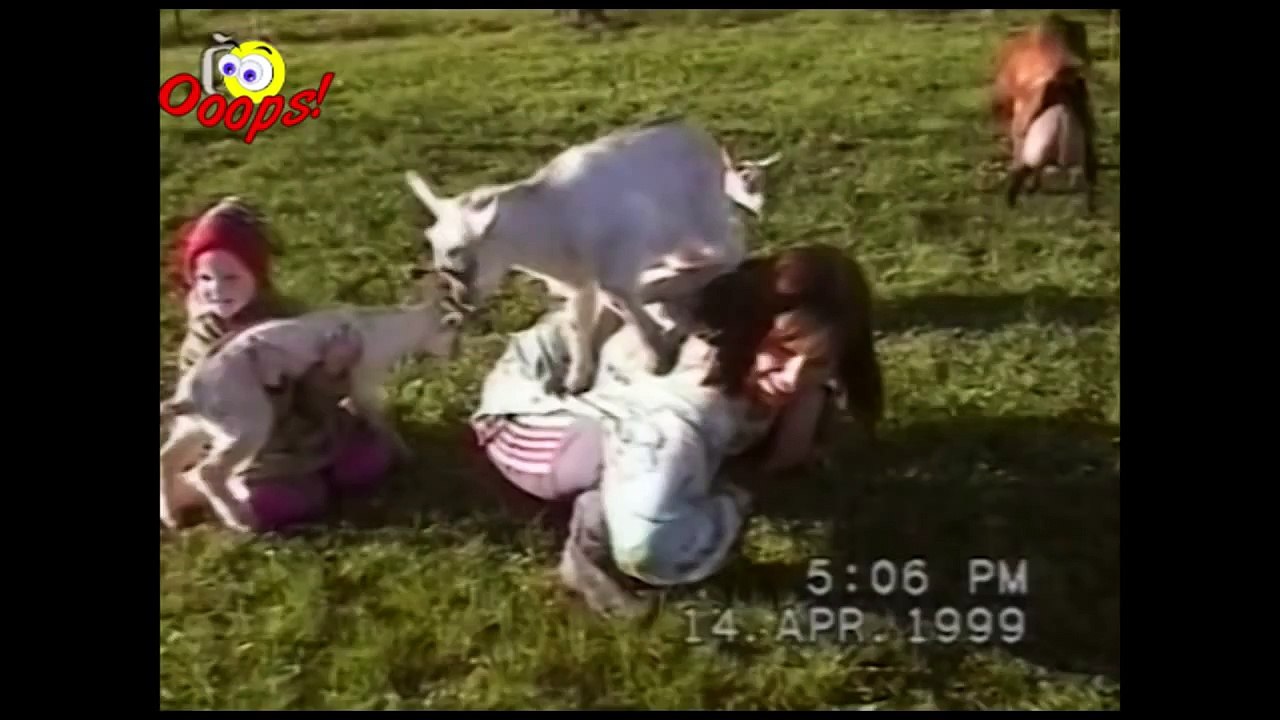 Goats Yelling Like Humans - Super Cut Compilation