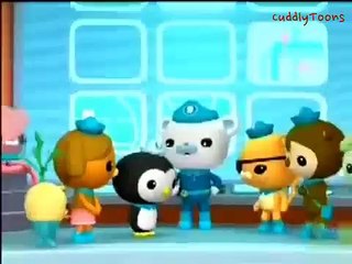 The Octonauts and the Walrus Chief (Series 1 - Episode 4)