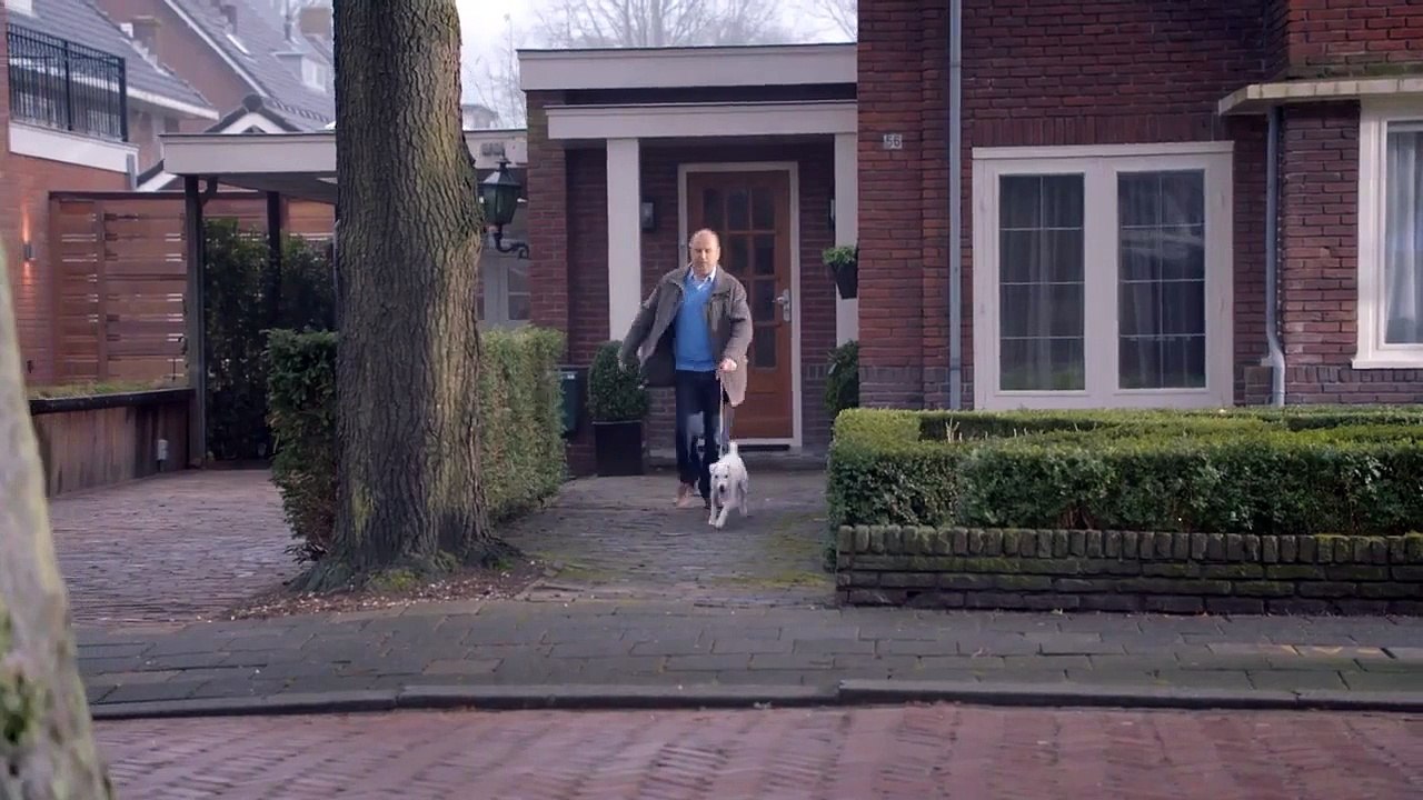 Kendini Araba Sanan Köpek